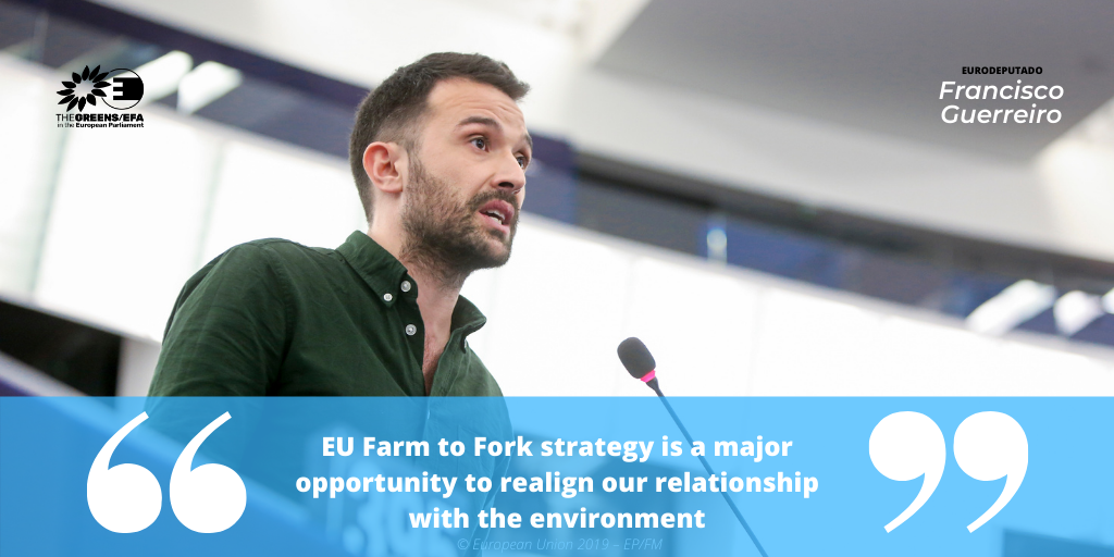The Parliament Magazine: 'EU Farm to Fork strategy is a major opportunity to realign our relationship with the environment'