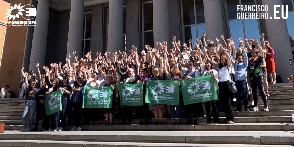 Greens/EFA organizam Study Days em Madrid