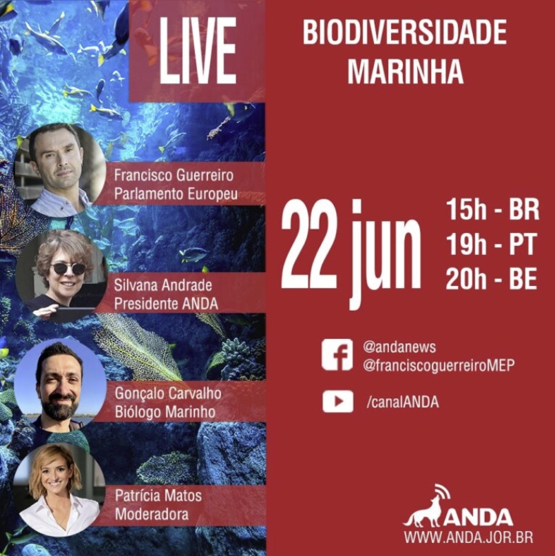 Bomba Bomba: 'Debate online discute a importância de preservar a biodiversidade marinha'