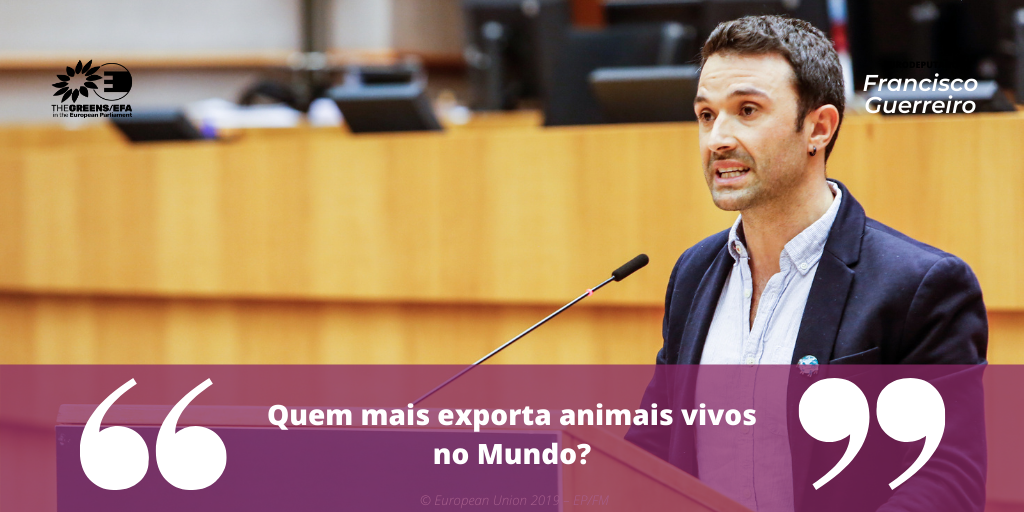 Nova Gente: 'Quem mais exporta animais vivos no Mundo?'