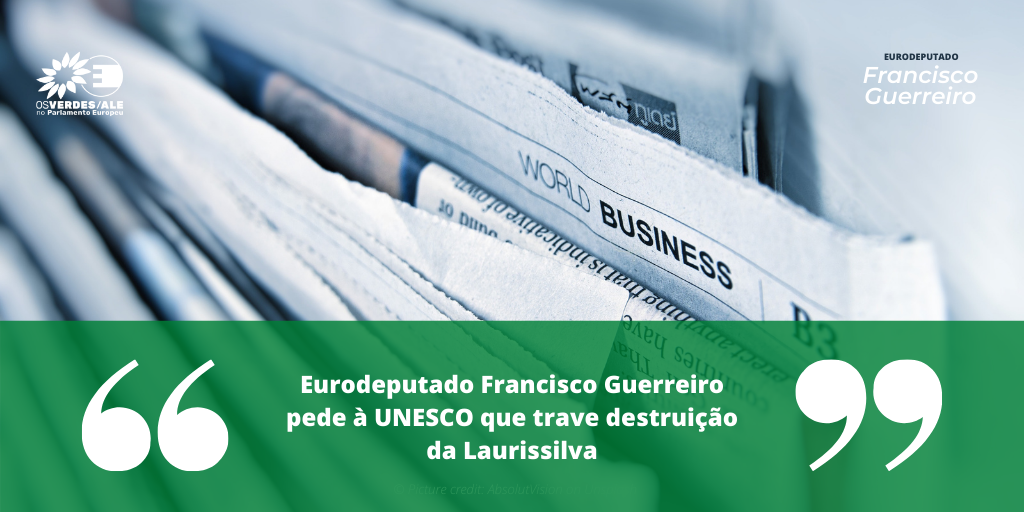 Rádio Calheta: 'Eurodeputado Francisco Guerreiro pede à UNESCO que trave destruição da Laurissilva'