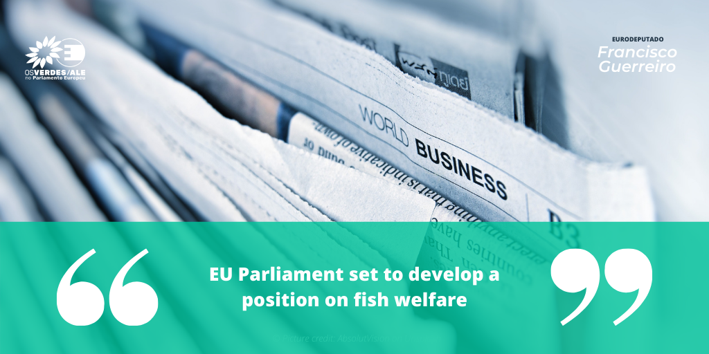 Compassion in World Farming: 'EU Parliament set to develop a position on fish welfare'