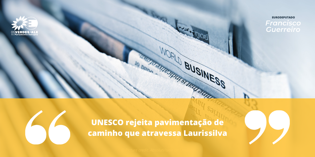 Notícias ao Minuto: 'UNESCO rejeita pavimentação de caminho que atravessa Laurissilva'