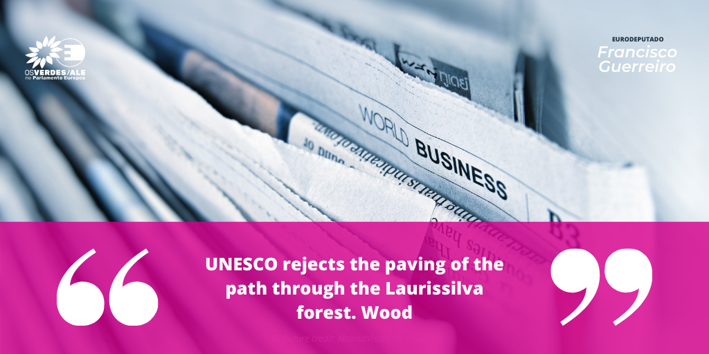 Valley Bugler Newspaper: 'UNESCO rejects the paving of the path through the Laurissilva forest. Wood'