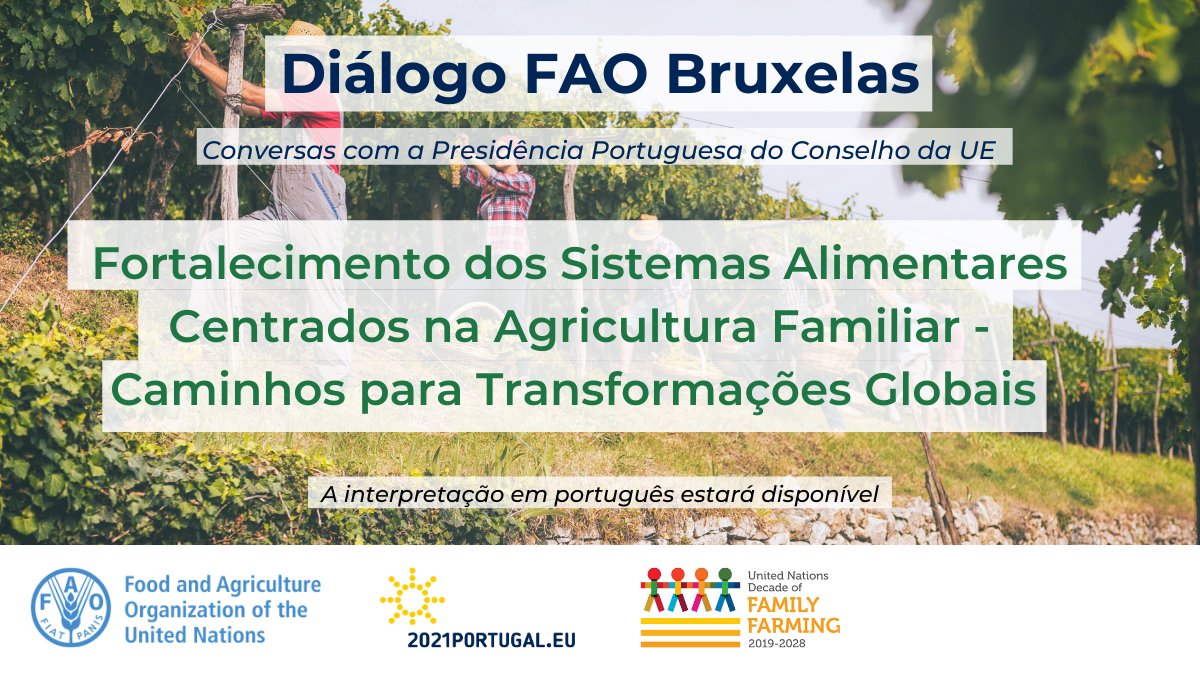 Diálogo FAO Bruxelas/PPUE: Fortalecimento dos sistemas alimentares centrados na agricultura familiar