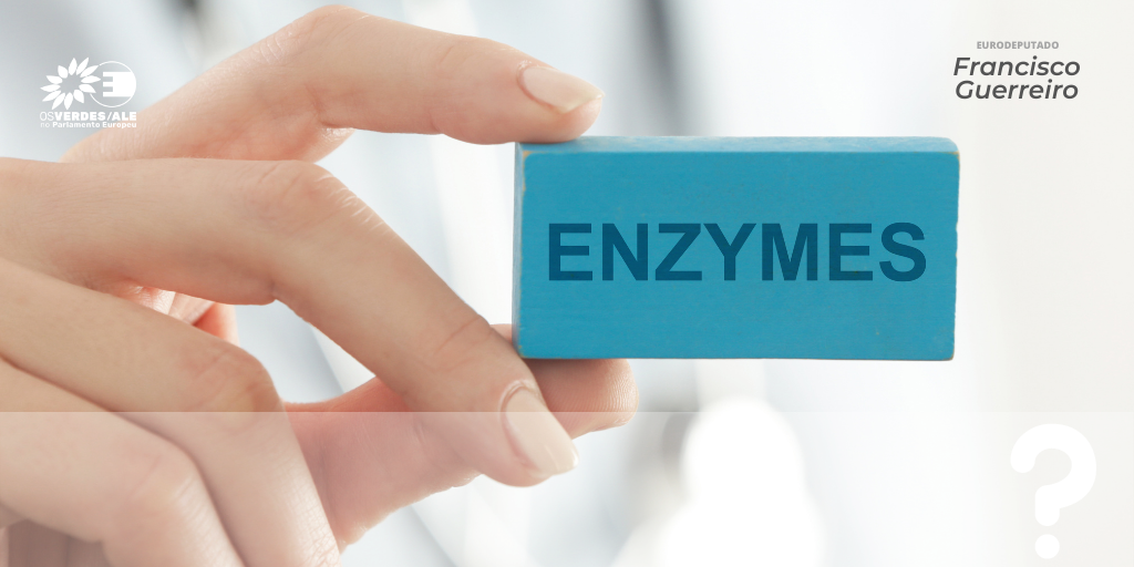 Eurodeputados dos Verdes questionam CE sobre a ausência de rotulagem para enzimas alimentares 