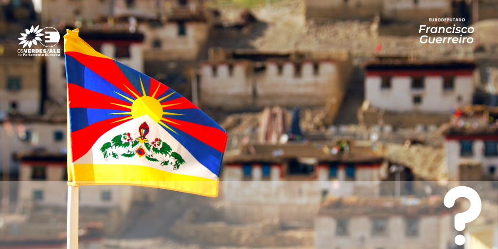 Francisco Guerreiro questiona Comissão sobre campos de trabalho chineses no Tibete