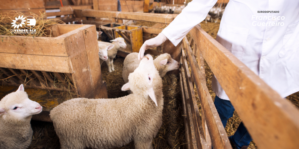 Guerreiro participa em evento sobre a nova legislação para saúde animal