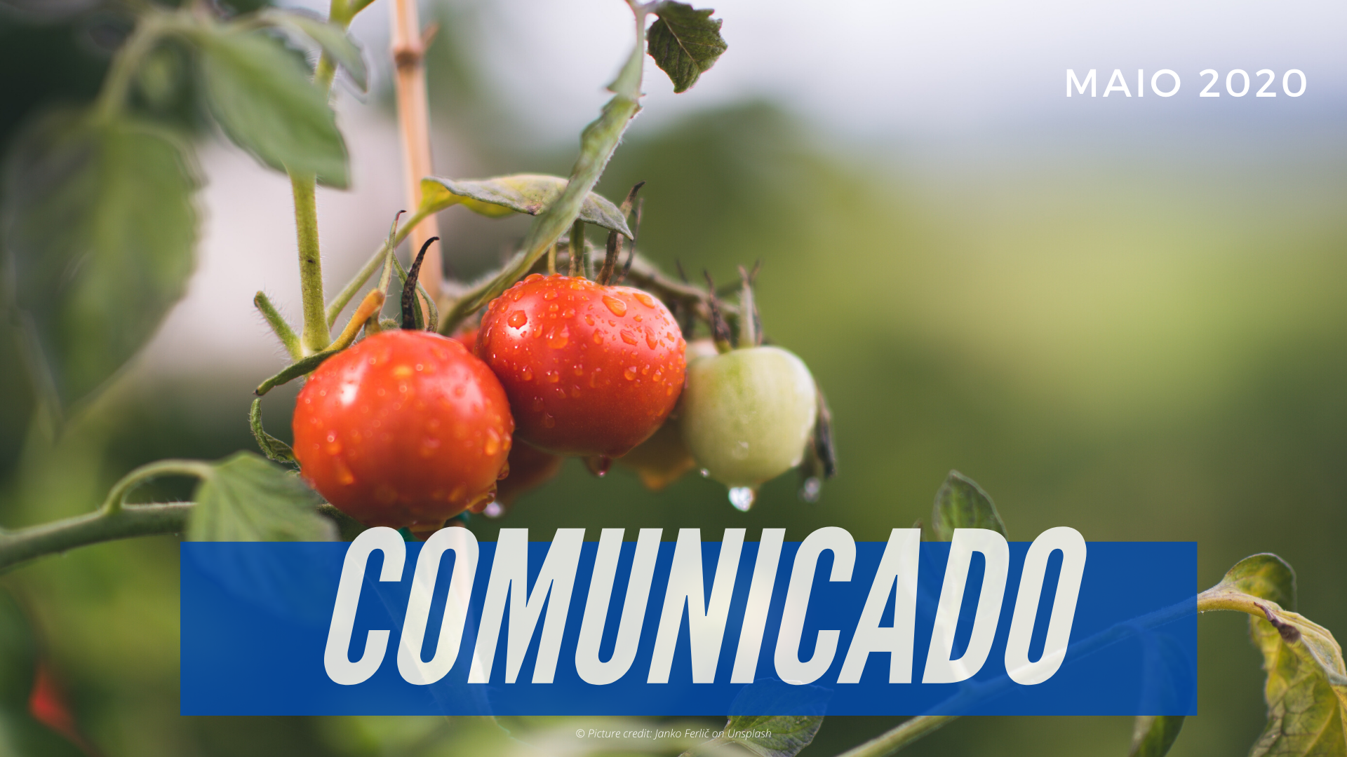 Francisco Guerreiro considera pouco ambiciosas as estratégias europeias do Prado ao Prato e da biodiversidade