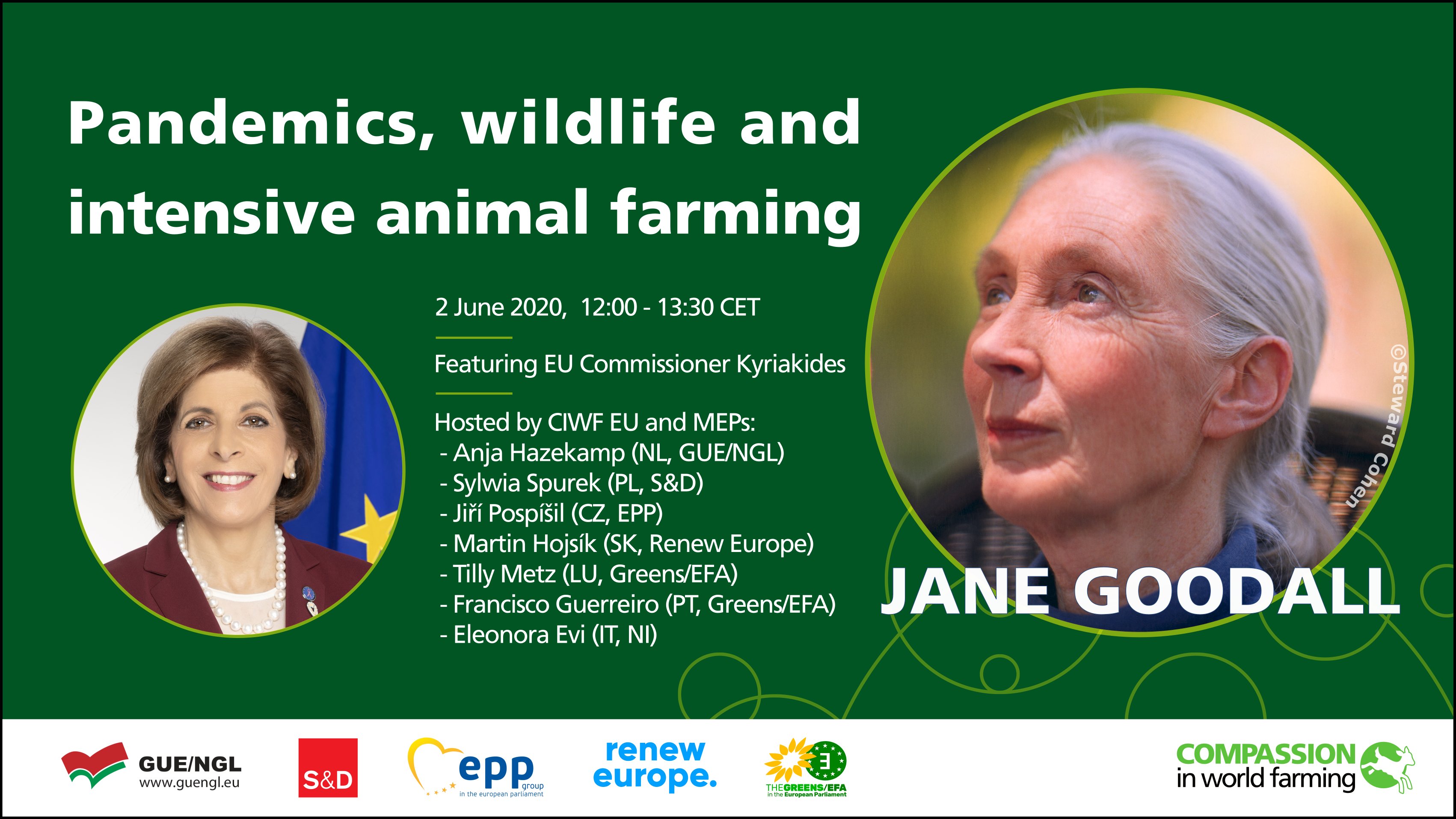 Eurodeputado do PAN e primatologista Jane Goodall juntos em webinar