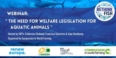 Webinar: A necessidade de legislação para animais aquáticos