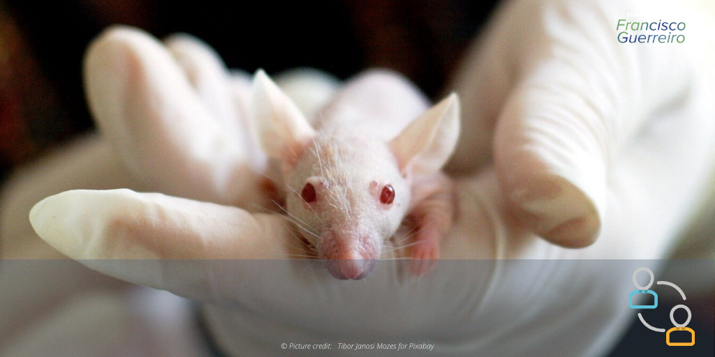 Francisco Guerreiro apela à redução de testes em animais na UE