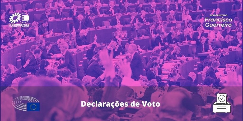 Lei de Serviços Digitais - Relatório: Christel Schaldemose