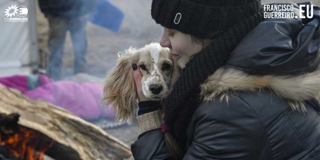 Ucrânia: Eurodeputados preocupados com os animais de estimação dos refugiados