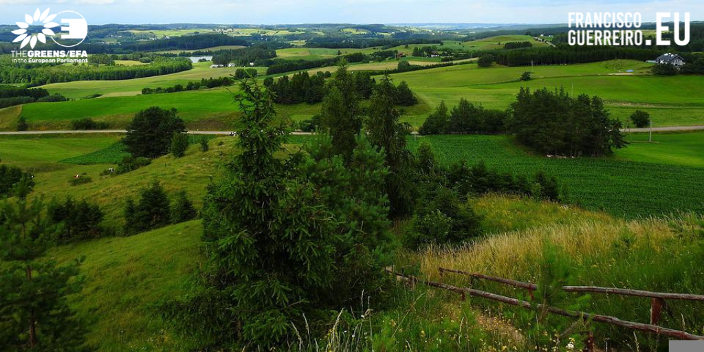 Eurodeputado Francisco Guerreiro questiona sobre as medidas de proteção na Faixa de Suwalki 