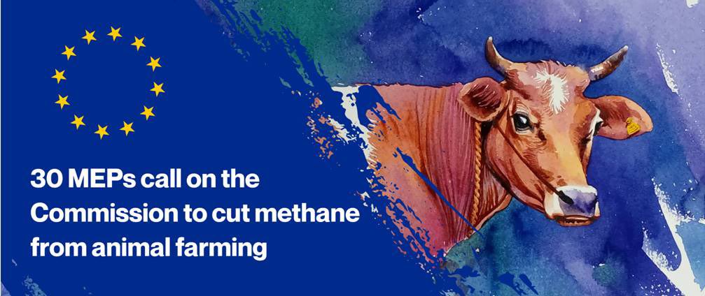 Eurodeputados querem que a  que a UE pare de ignorar o problema do metano da pecuária.