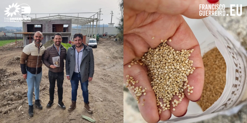 Eurodeputado Francisco Guerreiro visita primeiro produtor de quinoa em Portugal