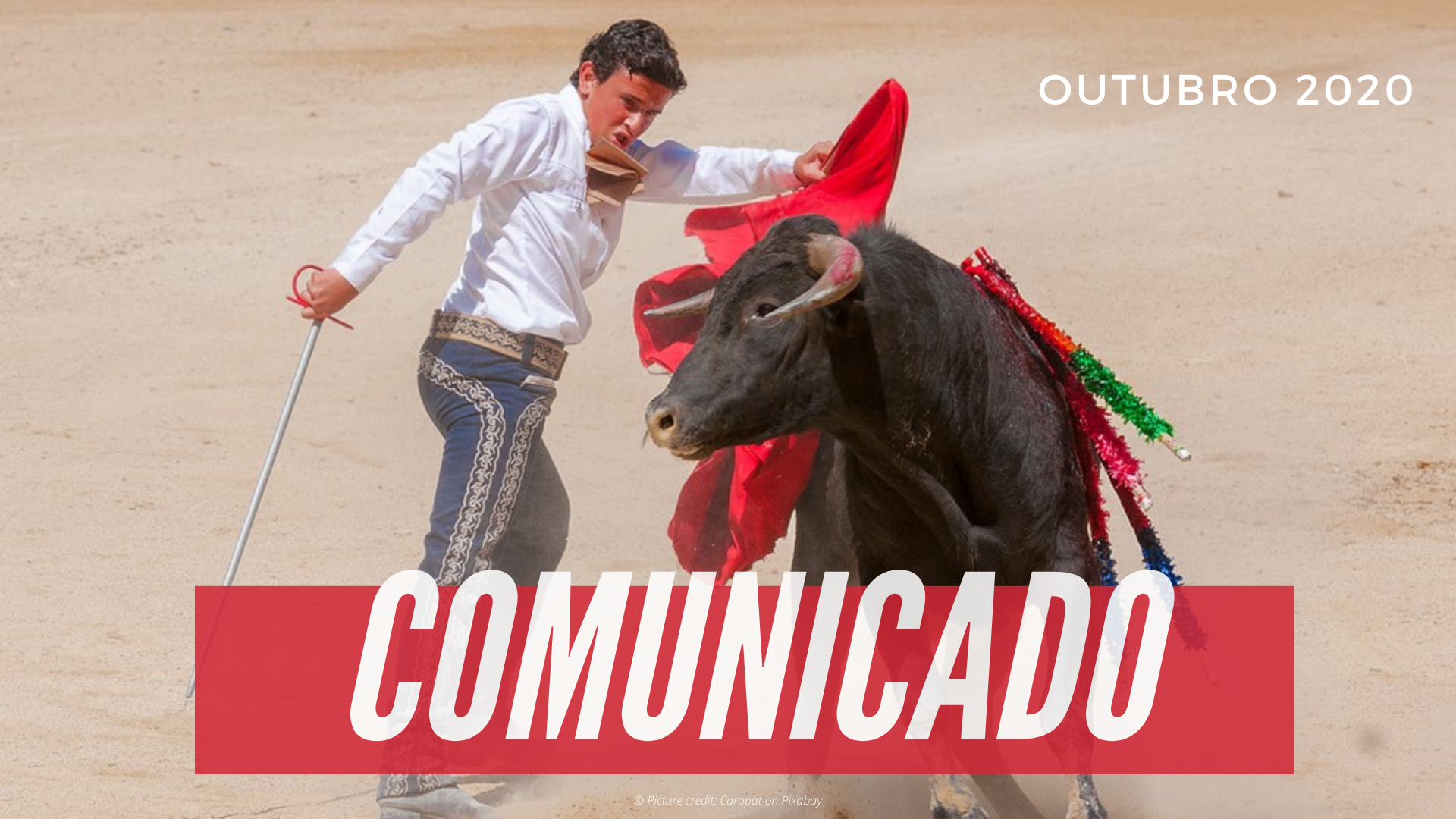 Francisco Guerreiro refuses CAP funding to bullfighting activities