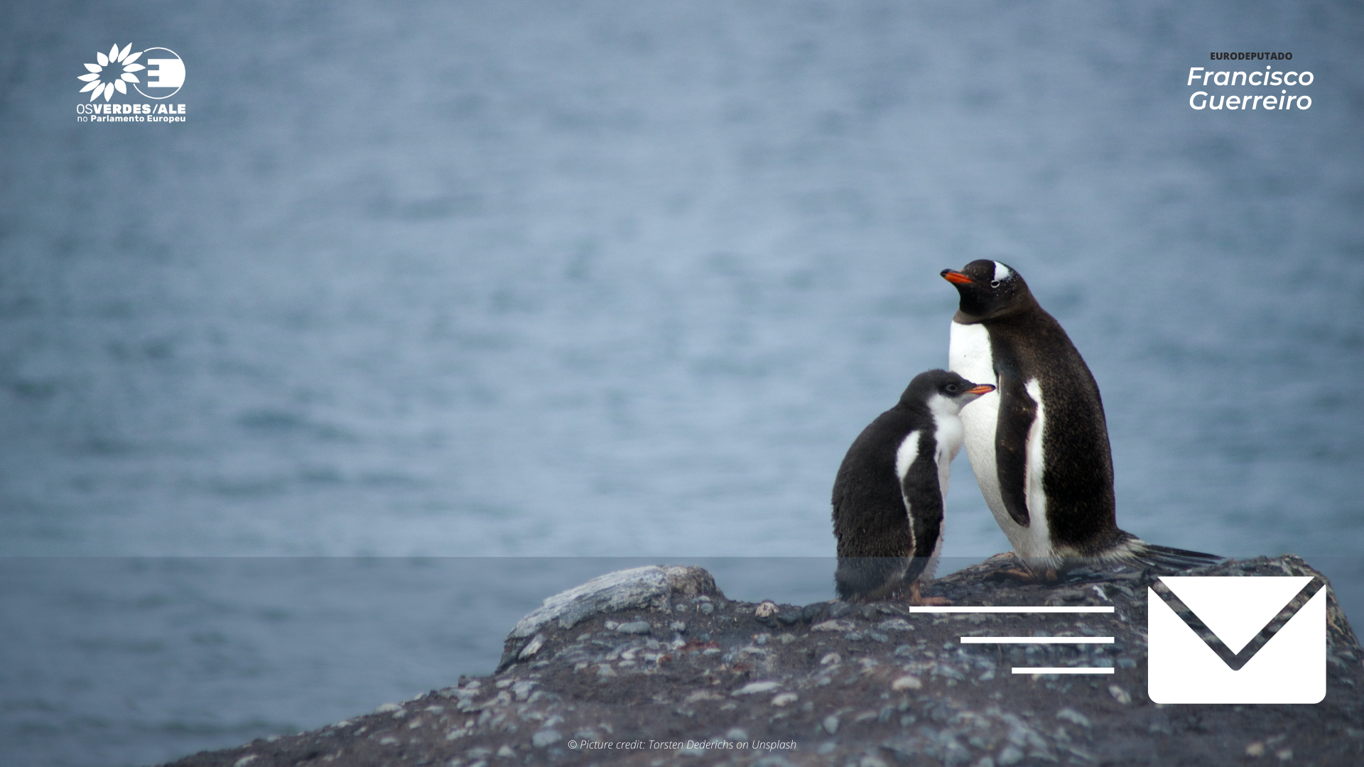 Áreas marinhas protegidas na Antártica preocupam Eurodeputados