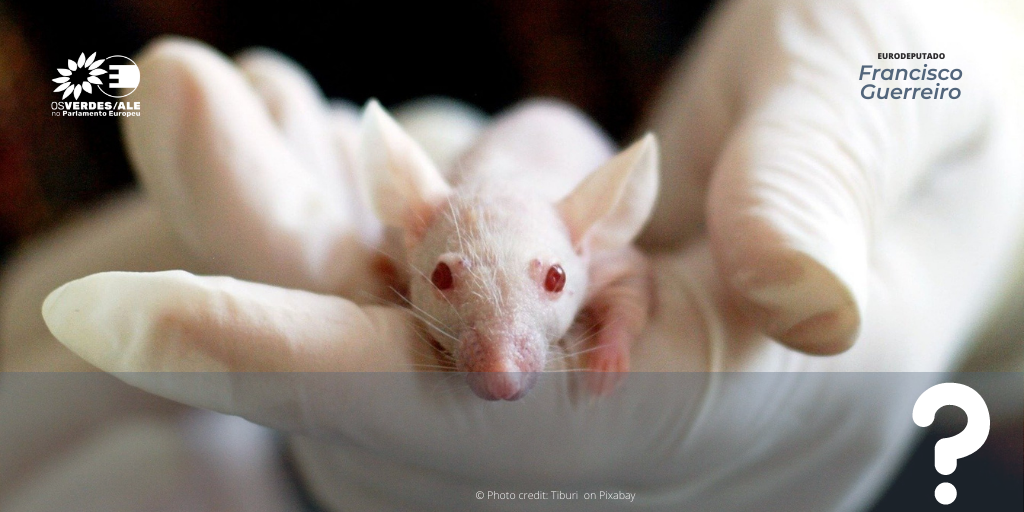 Question to the EC: Animal experiments: regulatory testing