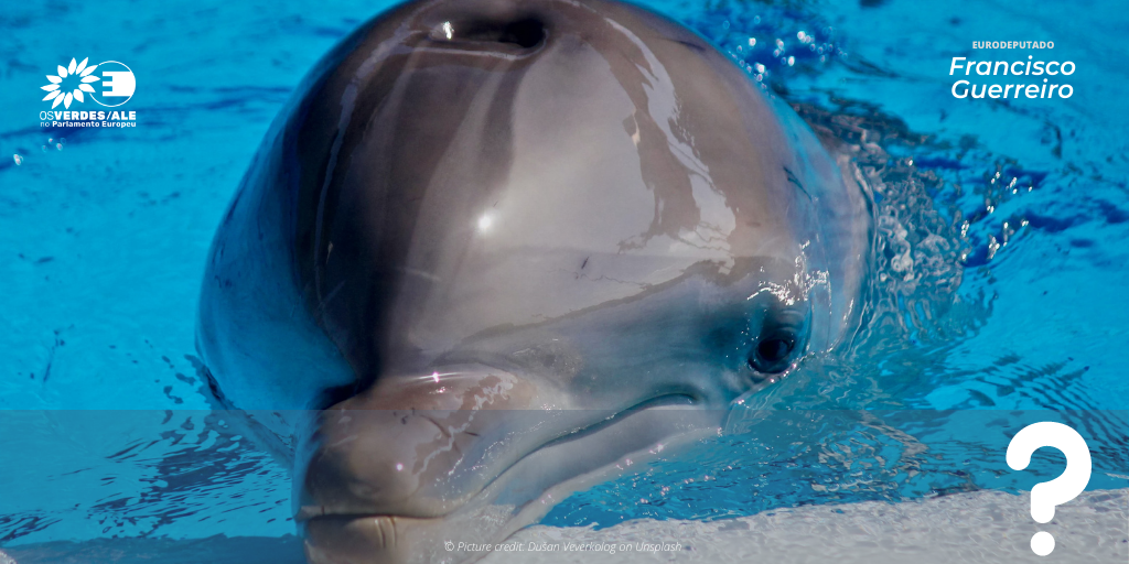 Question to the EC: European Regional Development Fund / Dolphinariums