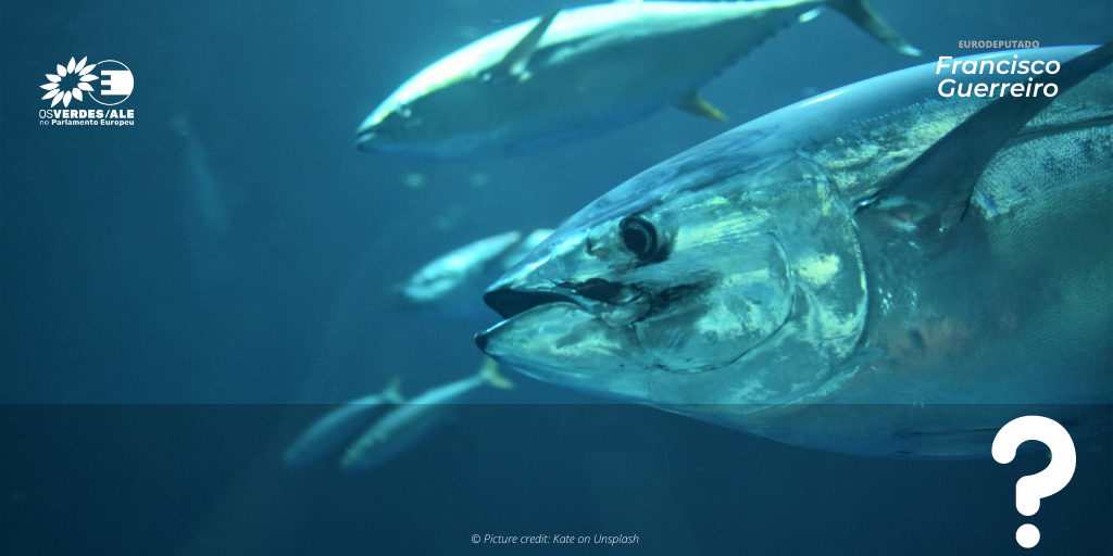 Question to the EC: Protection of shortfin mako sharks in the framework of International Commission for the Conservation of Atlantic Tunas