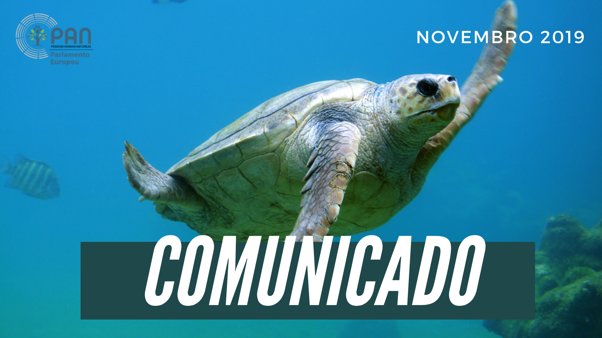 PAN MEP organizes event on fish resources