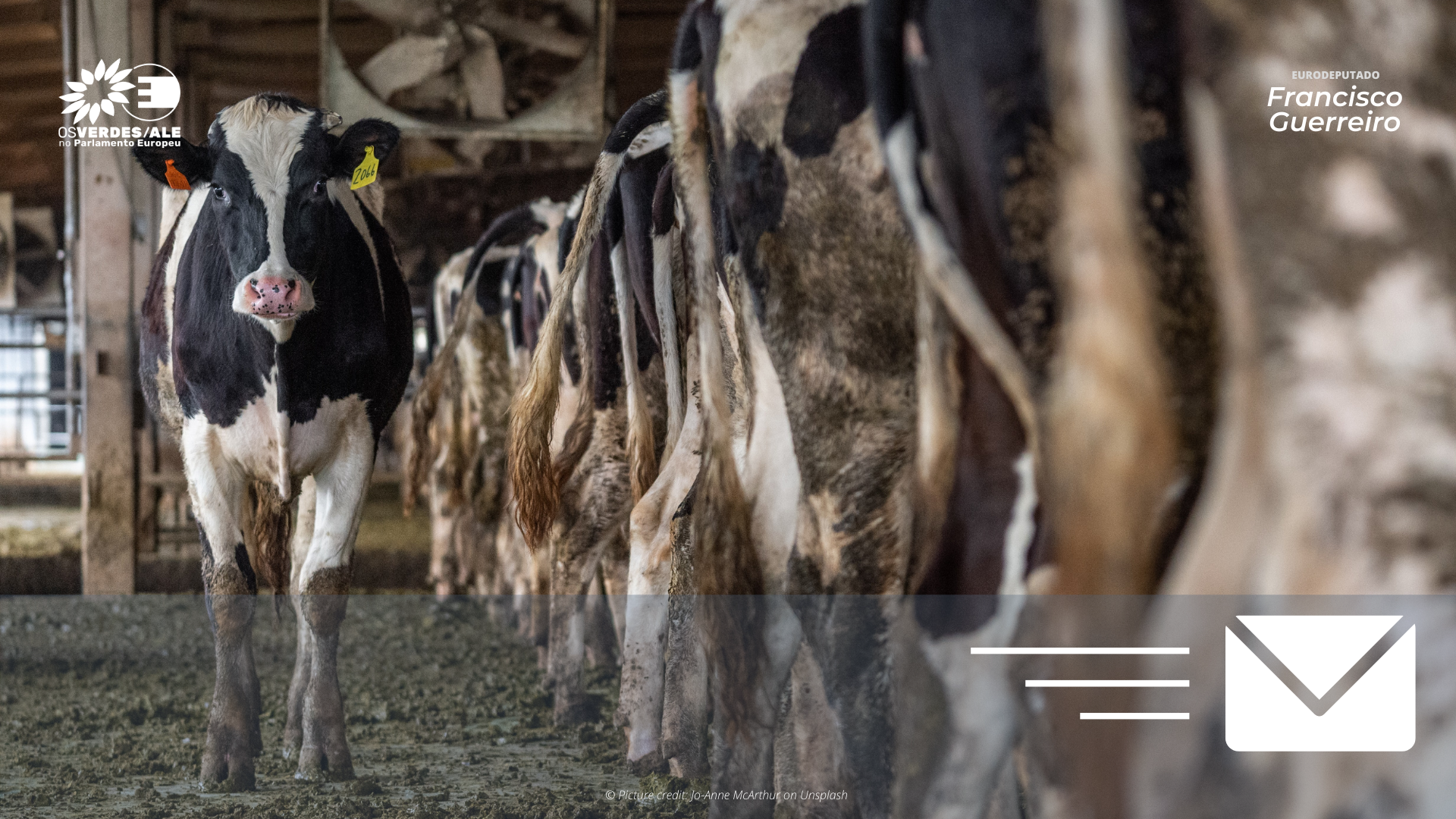 Eurodeputados apelam a mudanças para acabar com uso preventivo de antimicrobianos na produção animal